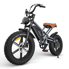 JANSNO Electric Bike 20" x 4.0 Electric Bike for Adults with 750W Brushless Motor, Long-Lasting 48V 14Ah Removable Battery, 7-Speed Transmission , 20 Inch Fat Tires,Integrated wheels,UL Certified.