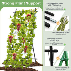 74 Inch Tall Garden Trellis for Flower Vine Vegetable Fruit Pea